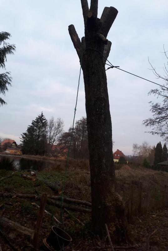 20181214 154343